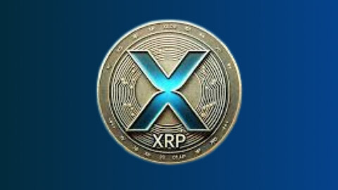 XRP RIPPLE CEO BOOOOOOOOM !!!!