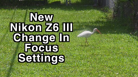 Nikon Z6 III - Updated Focus Settings