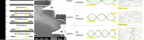 Advanced Lab-on-Chip MEMS/NEMS Devices Capture Sounds From Natural Protein Cell Frequencies