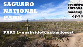 Southern Arizona Ep14: Saguaro nat'l park Part1/2- east side