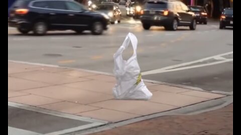 Bag Going For A Walk