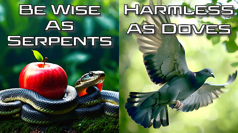 Be Wise As Serpents & Harmless As Doves: Guest Melissa Huray. Truth Today 09/12/24