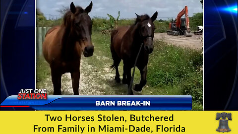 Two Horses Stolen, Butchered From Family in Miami-Dade, Florida