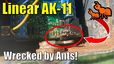 ✅ Linear AK-11 Keypad ● Wrecked by Ants! How to Take Apart and Try to Fix