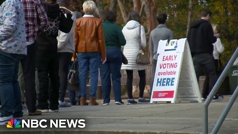 Georgia grants powers to local officials to investigate election results | N-Now