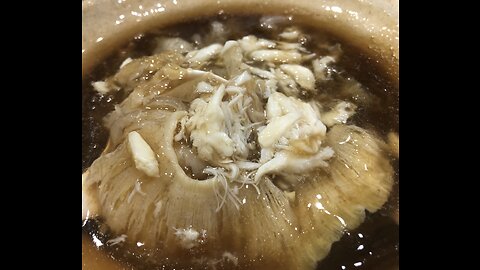 food, shopping & Michelin rated shark fin, bird nest restaurants