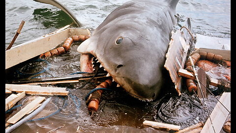 The Matawan Man-Eater | The Inspiration for the Film Jaws