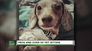 Pros and cons of pet sitters