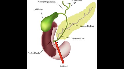 Mar. 5, 2024 PM / Dr. Glidden on Gallbladder health, general discussion on Boron...