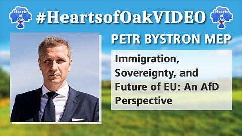 Petr Bystron MEP - Immigration, Sovereignty and the Future of EU: An AfD Perspective