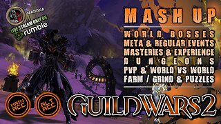 GUILD WARS 2 002 MAIN / ALT ACC MASH UP