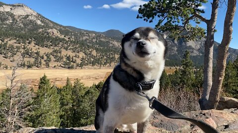 Reese at Rocky Mountain