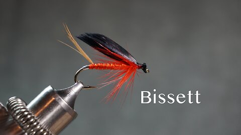 Bissett - from Favorite Flies and Their Histories (1892) by Mary Orvis Marbury