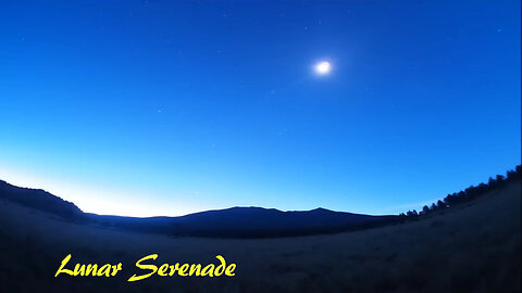 Lunar Serenade: A Celestial Ballet Beneath the Moonlight