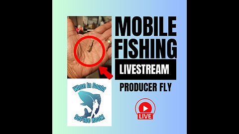 Pond Fly Fishing - Good Morning #Mobile #Fishing #Livestream