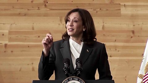 Modern Monetary Theory: The Most Honest and Accurate 2-Seconds of Kamala Harris's Career