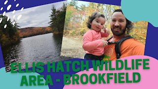 Ellis Hatch Wildlife Area - Brookfield