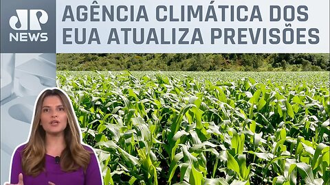 Kellen Severo: Super El Niño a caminho? Agro monitora efeitos