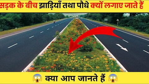 सड़क के बीच झाड़ियाँ तथा पौधे क्यों लगाए जाते हैं 😱 #shorts #facts #fact #short | road rivider