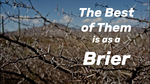 The Best of Them is as a Brier