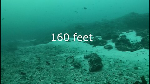 Anacapa Reef 160 feet