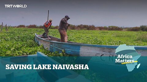 Africa Matters: Innovator saving Lake Naivasha from hyacinth