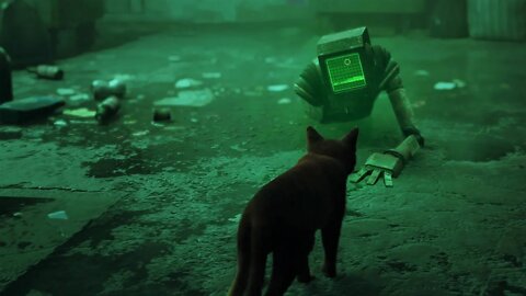 Stray Cat Entering a Dark City