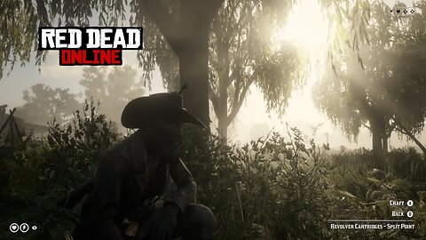 Red Dead Redemption 2 Online