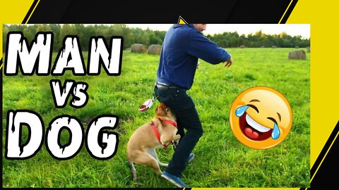 Funniest Dogs Ever 🤣 Best Funny Dog Videos Compilation (2022)