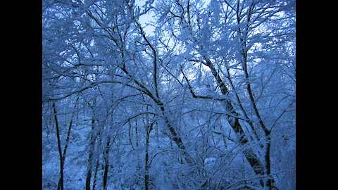 Smoky Mountains: A White Christmas