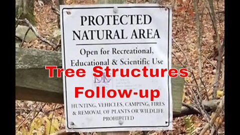 Tree Structures Follow-up