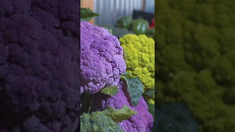 Slim Facto | Colorful Broccoli#shortvideo #shorts