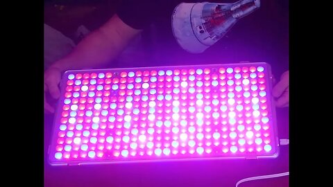 Bozily LED Grow Light, 300W - Amazon