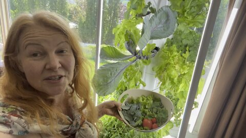 Tower Garden Salad!