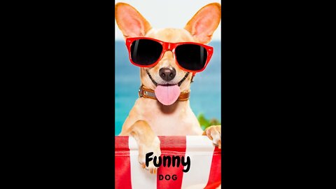 🤣Smart Dancing Funny Dogs 2022 Video Clips #shorts