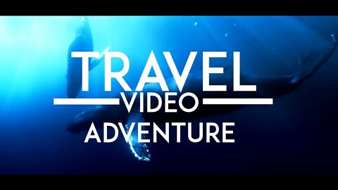 Travel Video Montage Vlog - Bali/Hawaii/Chile Trip - (PARADISE)