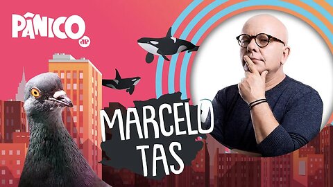 MARCELO TAS - PÂNICO - AO VIVO - 09/09/20