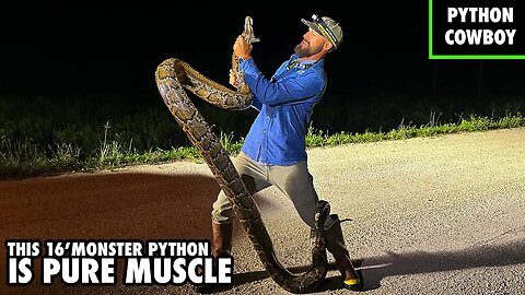 Will The Burmese Python Problem In The Florida Everglades Ever Be Resolved