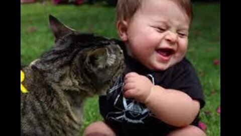 A cat accepts a child with a lot of love