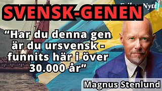 Genen som visar om du är ursvensk - Magnus Stenlund om "Blodet och jorden"