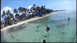 Stilt fishing in Sri Lanka