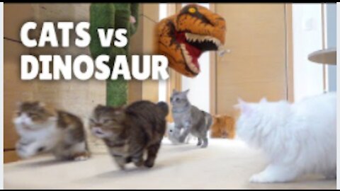 Cats vs Dinosaur