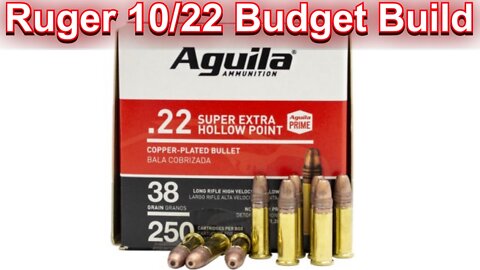 Ruger 10/22 Budget Build Ammo Test: Aguila Super Extra 22lr