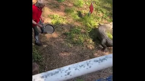 Guy slaps an attacking crocodile with a frying pan