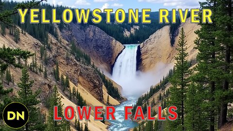 Lower Falls Yellowstone River