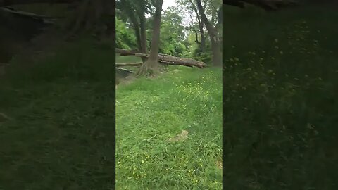 Cutting by the river with a weedeater #river