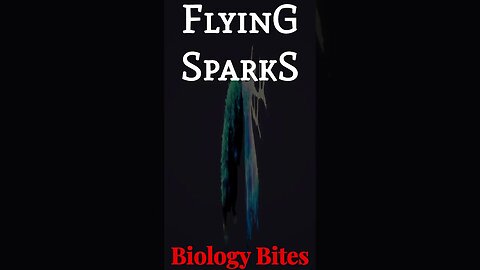 Flying Sparks - Biology Bites 001 - Larian Biochemistry #shorts