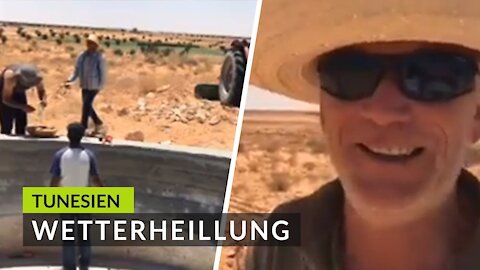 Die integrale Umweltheilung wirkt in Tunesien // So funktioniert Desert Greening von 2017 (Teil 1/2)