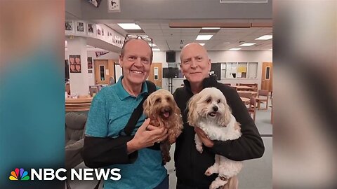 Alaska couple who survived landslide reunited with dogs after miraculous rescue