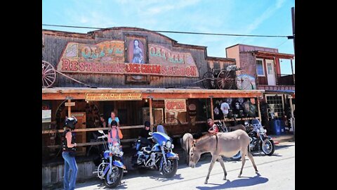 SHH! 6 secrets about Oatman's Wild Burros - ABC15 Digital